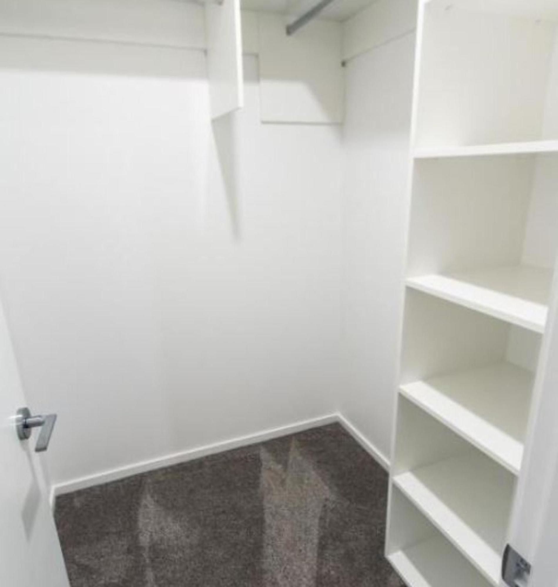 Modern 3 Bed Overlooking Hagley Park Christchurch Eksteriør billede